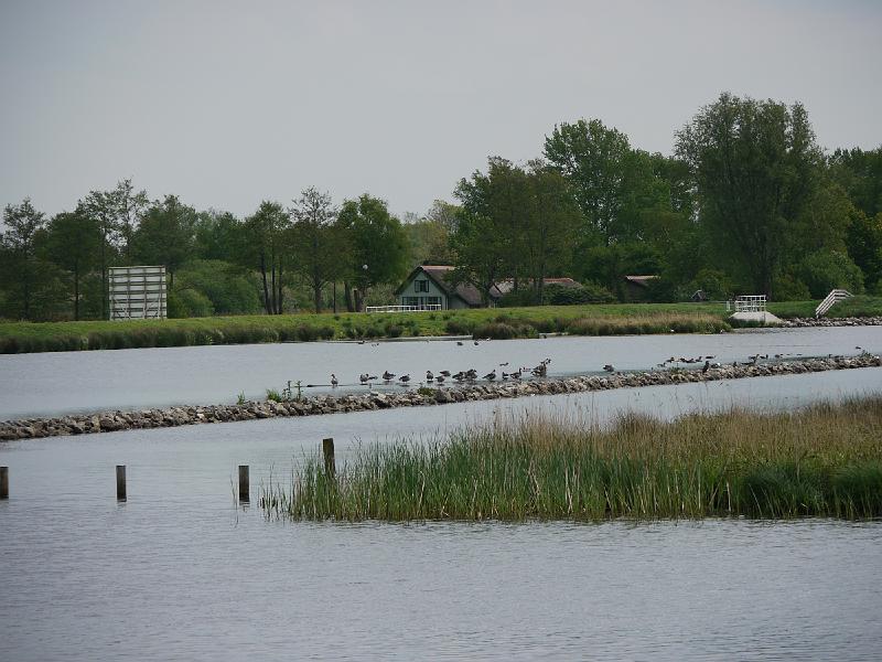 2016.05 Fryslan Bootstour - 17.jpg